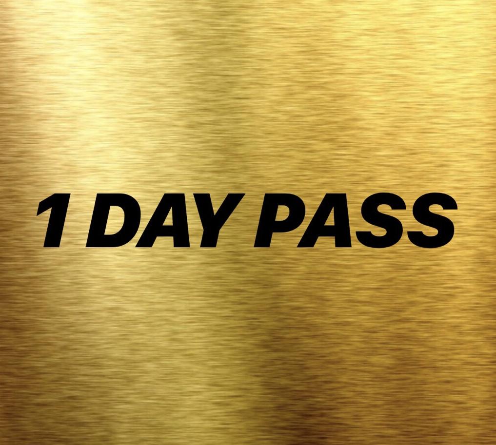 1 DAY PASS